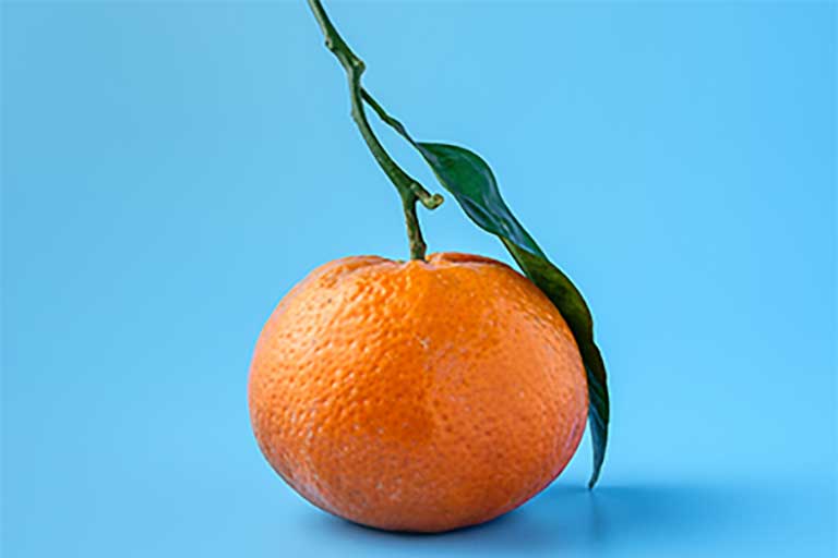 Industria alimentaria