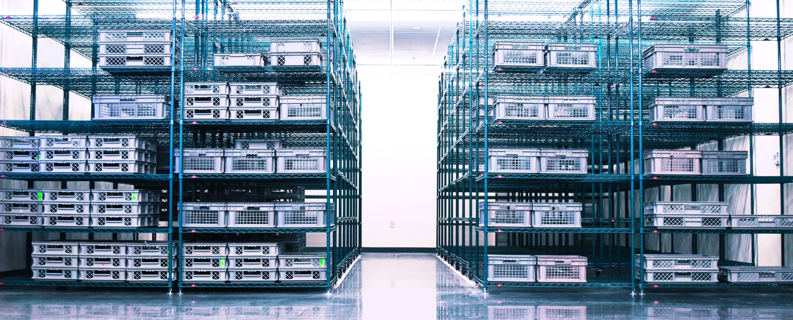 Three rows of tall, empty storage shelves in a white room with white flooring
