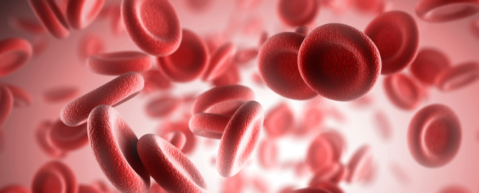 Hemocompatibility (1)