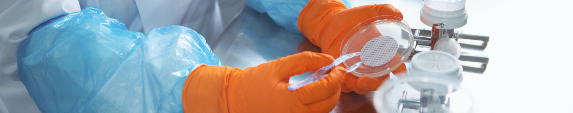 Un técnico de laboratorio con bata y guantes protectores, manipulando una muestra en una placa de Petri en un laboratorio de Eurofins BioPharma Product Testing. Los laboratorios cuentan con amplia experiencia y una oferta completa de ensayos para el desarrollo y control de calidad de productos antibióticos, asegurando la potencia y eficacia de los tratamientos en el combate contra infecciones.